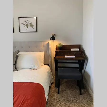 Newly Furnished 1Br Apartment W/ Hermann Park View Houston Exterior photo