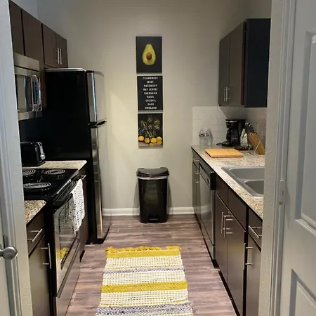 Newly Furnished 1Br Apartment W/ Hermann Park View Houston Exterior photo