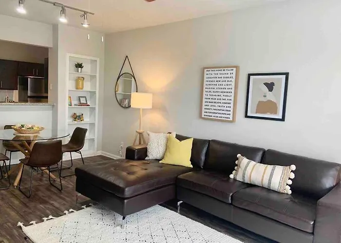 Newly Furnished 1Br Apartment W/ Hermann Park View