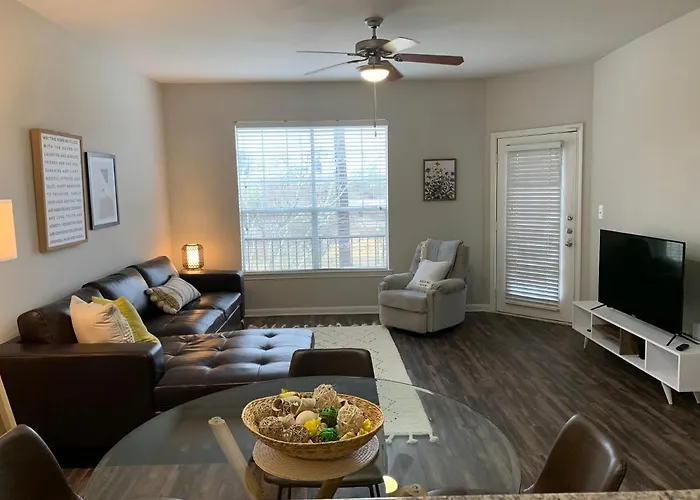 Newly Furnished 1Br Apartment W/ Hermann Park View